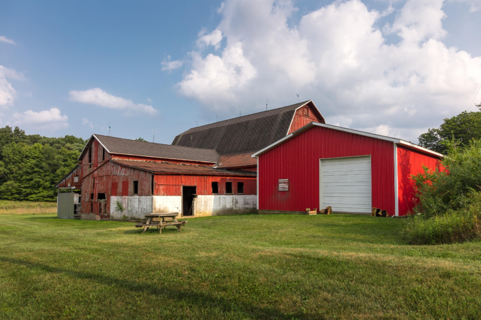 13726 Warner Road Concord, MI 49237 - Photo 7 of 39 Concord-7