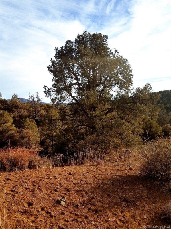11600 Appaloosa Road Tehachapi, CA 93561 - Photo 1 of 4 Gallery Image 1