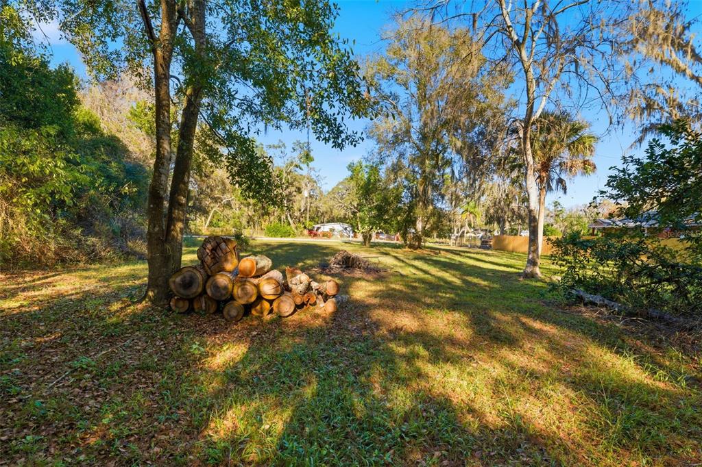 0 Moon Lake Circle New Port Richey, FL 34654 - Photo 11 of 22 a view of yard with green space