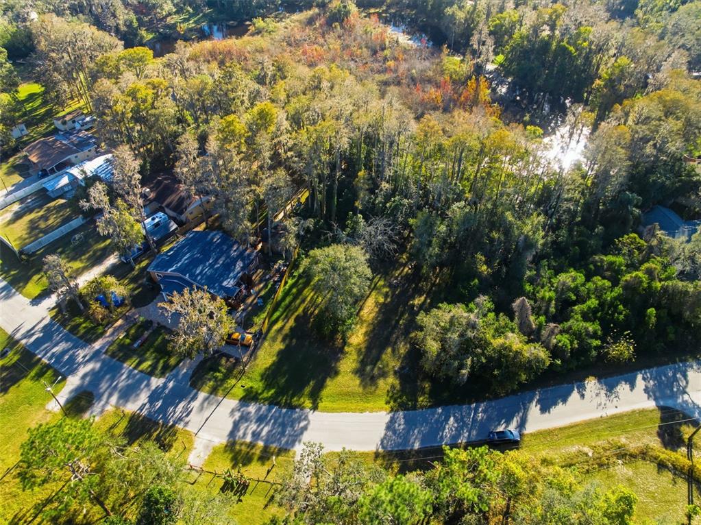 0 Moon Lake Circle New Port Richey, FL 34654 - Photo 15 of 22 a view of a yard