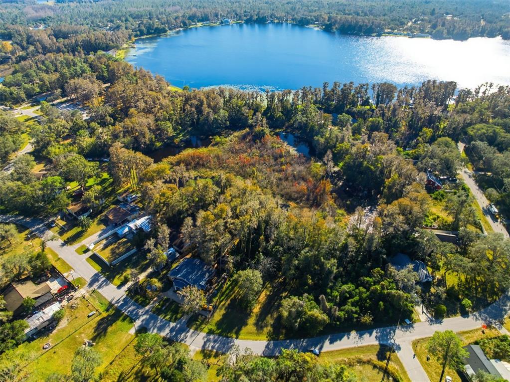 0 Moon Lake Circle New Port Richey, FL 34654 - Photo 17 of 22 a view of a bunch of trees and houses