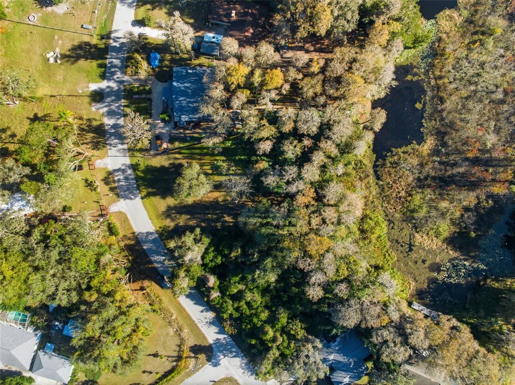 0 Moon Lake Circle New Port Richey, FL 34654 - Photo 18 of 22 a picture of flowers
