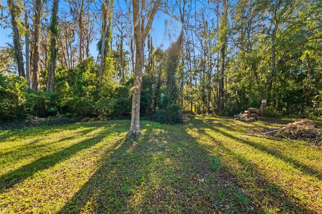0 Moon Lake Circle New Port Richey, FL 34654 - Photo 6 of 22 a backyard of a house with lots of green space