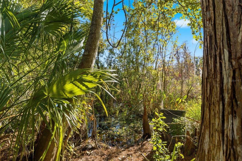 0 Moon Lake Circle New Port Richey, FL 34654 - Photo 9 of 22 a view of a garden