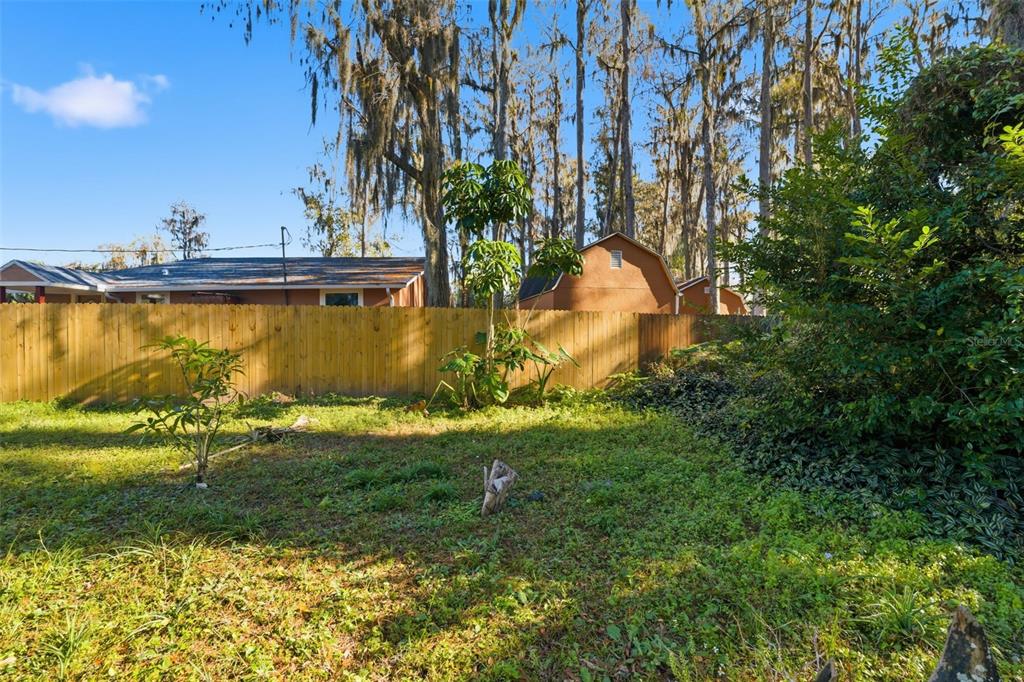 0 Moon Lake Circle New Port Richey, FL 34654 - Photo 10 of 22 a view of a yard