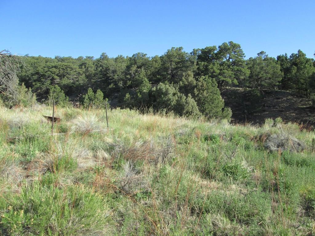 Lot #2 Milligan Ranch Gardner, CO 81040 - Photo 31 of 35 Gallery Image 31