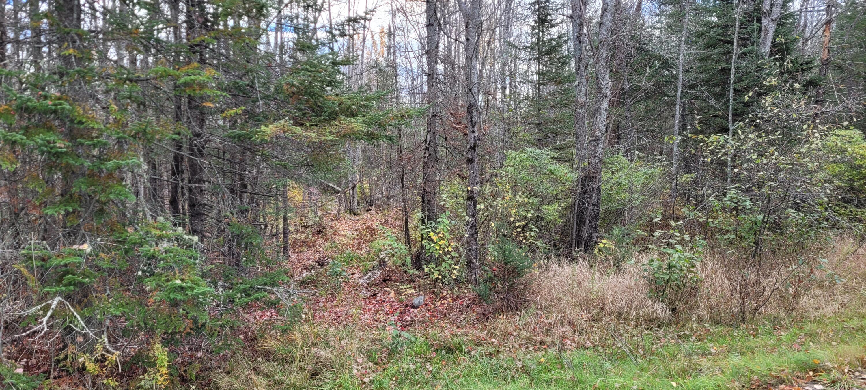 0 Storer Road Bradford, ME 04410 - Photo 19 of 27 20211019_100010
