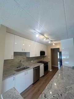 2215 West 111th Street, Unit 101 Chicago, IL 60643 - Photo 12 of 39 a kitchen with kitchen island granite countertop a sink cabinets and stainless steel appliances