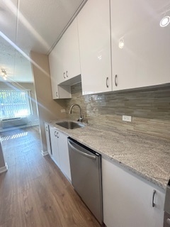 2215 West 111th Street, Unit 101 Chicago, IL 60643 - Photo 16 of 39 a kitchen with granite countertop a sink a stove and cabinets