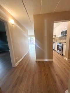2215 West 111th Street, Unit 101 Chicago, IL 60643 - Photo 17 of 39 a view of a kitchen with wooden floor and a sink