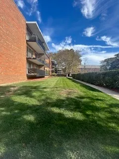 a view of a big yard with potted plants and big trees