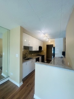 2215 West 111th Street, Unit 101 Chicago, IL 60643 - Photo 7 of 39 a kitchen with stainless steel appliances granite countertop a sink and a refrigerator