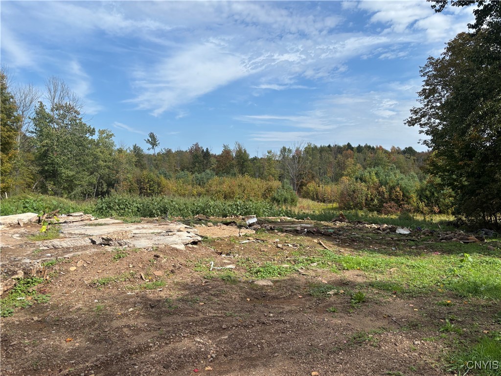 210-16 Goodfellow Road Palermo, NY 13069 - Photo 4 of 18