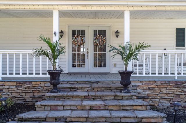 a potted plant sitting in front of a house