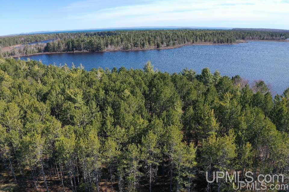 33985 Rice Landing Rd Lake Lake Linden, MI 49945 - Photo 4 of 30