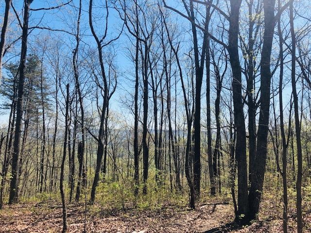 0 Vineyard Point Road Sequatchie, TN 37374 - Photo 1 of 7 a view of a backyard