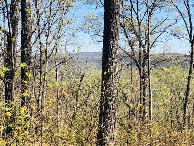 0 Vineyard Point Road Sequatchie, TN 37374 - Photo 3 of 7 a backyard of a house with large trees
