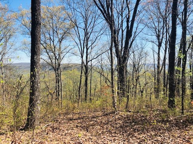 0 Vineyard Point Road Sequatchie, TN 37374 - Photo 6 of 7 a backyard of a house with lots of green space