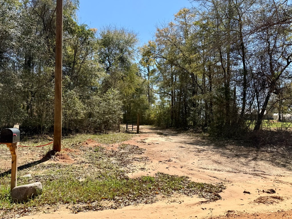 2326 Campbell Hill Road Chancellor, AL 36316 - Photo 2 of 33