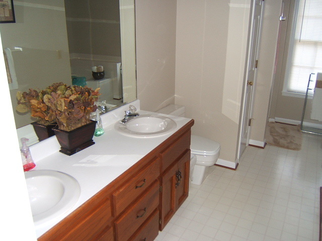 274 Winesap Road Roanoke, VA 24019 - Photo 24 of 40 Master Bath