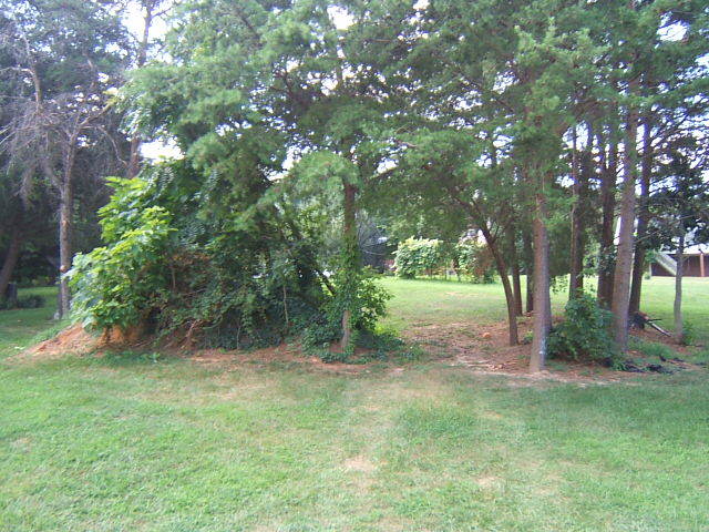 274 Winesap Road Roanoke, VA 24019 - Photo 40 of 40 Yard