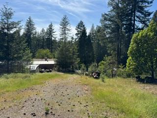 6433 Peg Leg Mine Road Georgetown, CA 95634 - Photo 5 of 9 a view of a garden with large trees