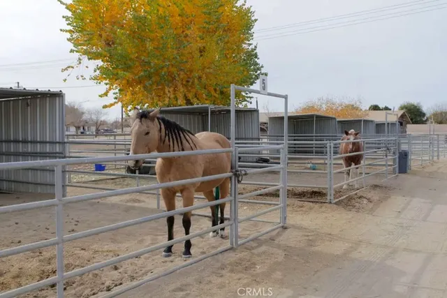 a wooden bench sitting in front of a building
