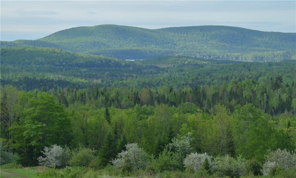 0 Graham Road Smyrna Mills, ME 04780 - Photo 10 of 14 Beautiful view