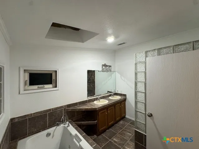 a bathroom with a sink and a mirror