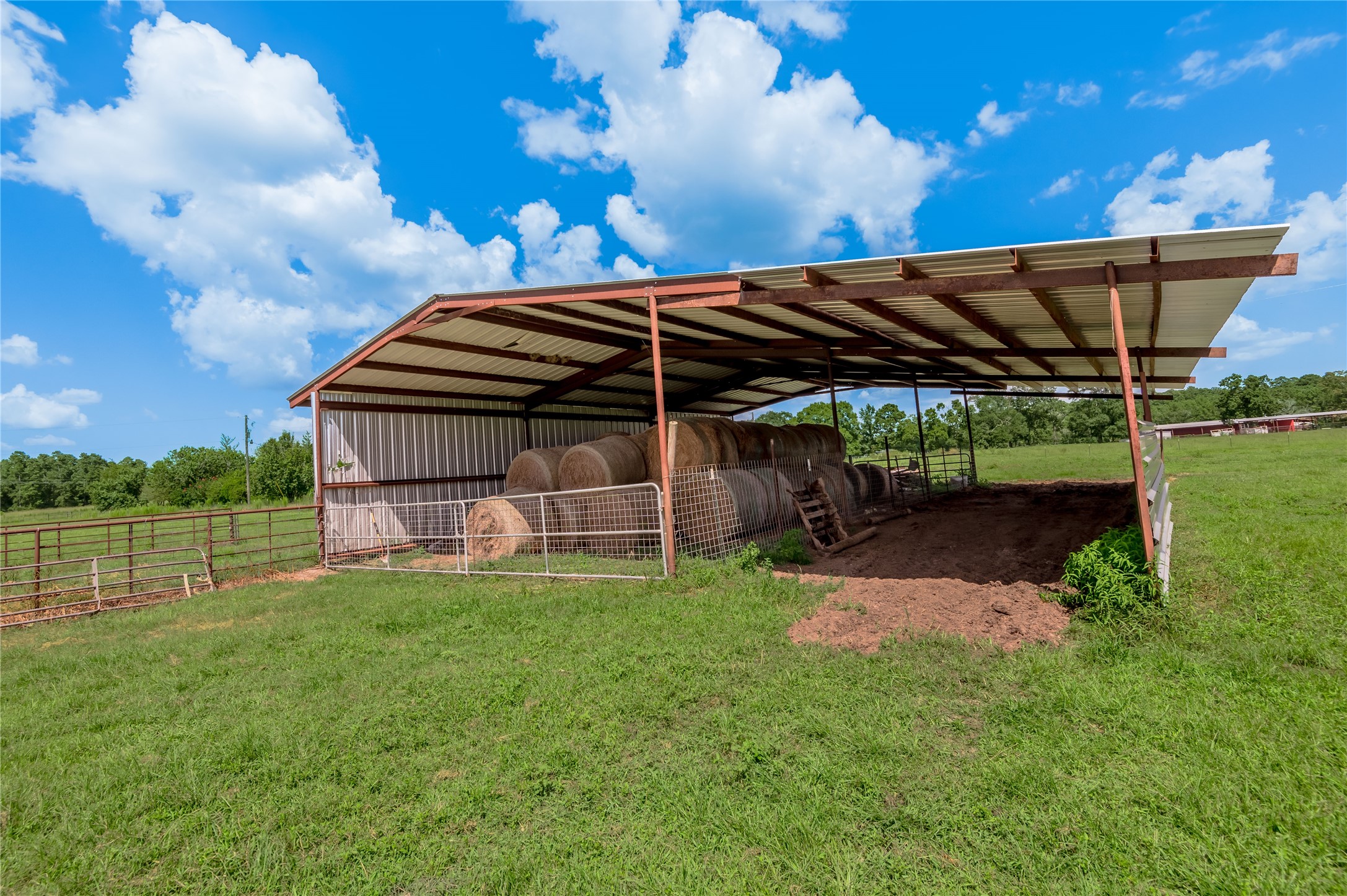 998 East 1st Street Groveton, TX 75845 - Photo 21 of 25 a view of a backyard with wooden fence and a large tree