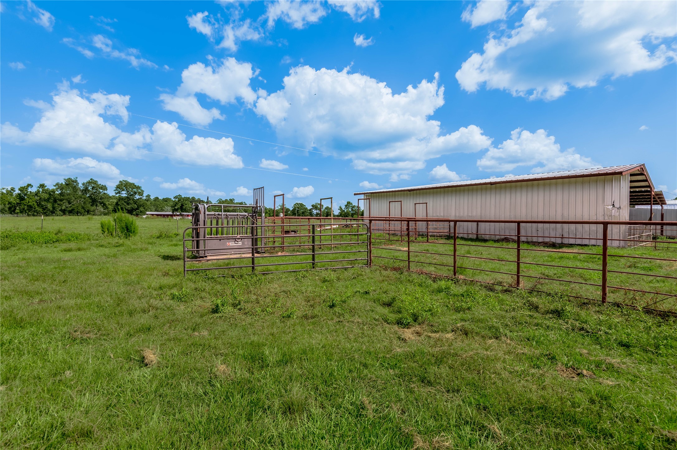 998 East 1st Street Groveton, TX 75845 - Photo 22 of 25 a view of a garden with a house in the background