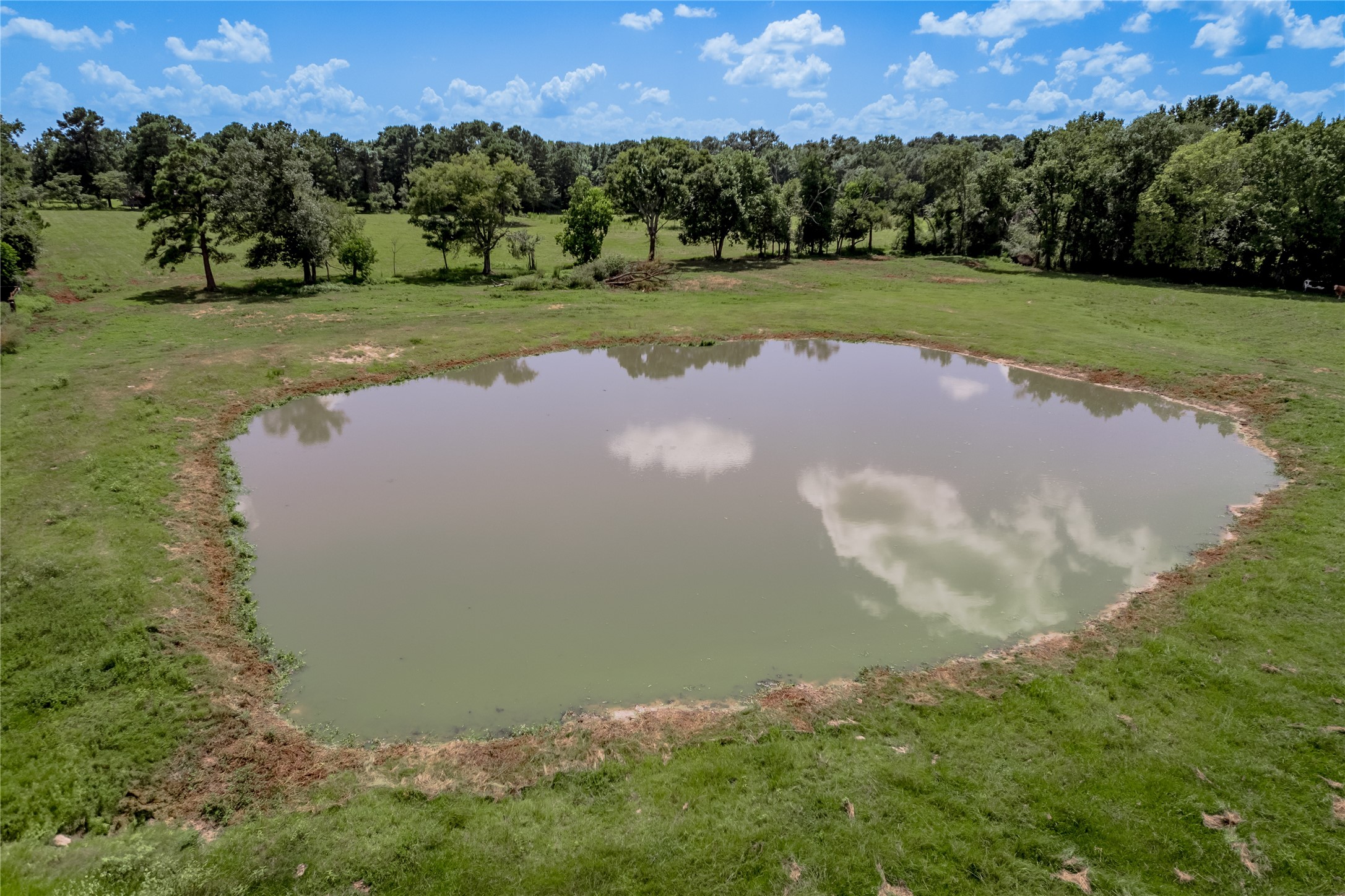 998 East 1st Street Groveton, TX 75845 - Photo 24 of 25 a view of a golf course with a lake