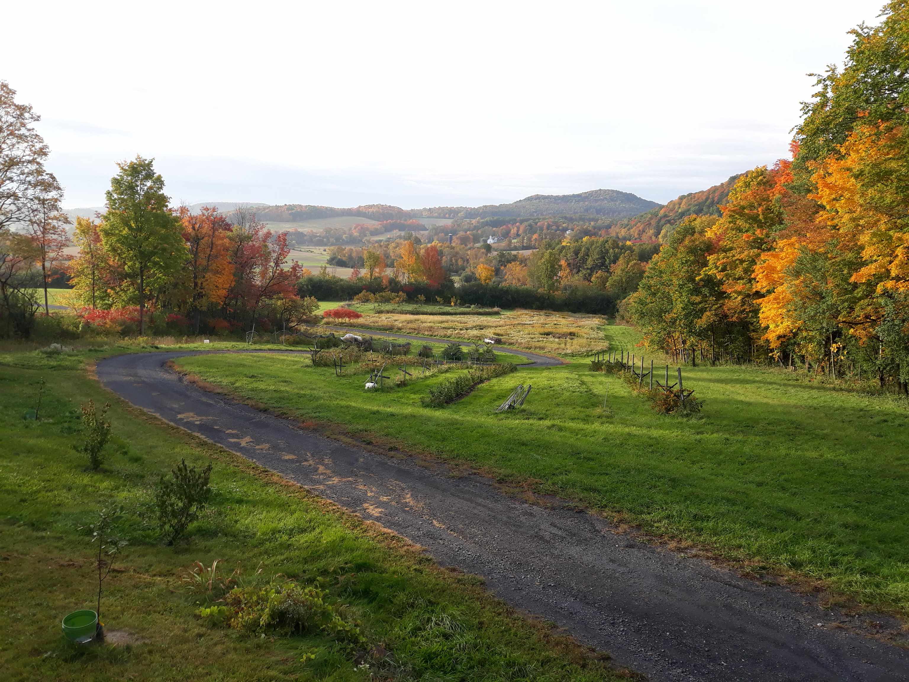 977 Bates Road Shoreham, VT 05770 - Photo 19 of 23