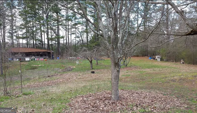 a view of a garden with a tree