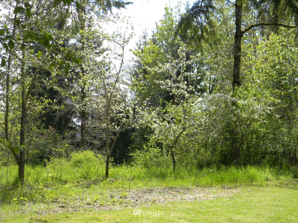 17524 Northcraft Road Southeast Tenino, WA 98589 - Photo 13 of 13 Gallery Image 13