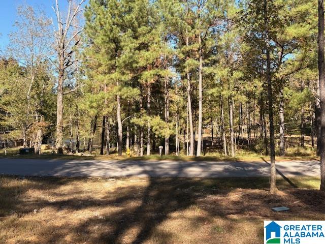 4540 Cabin Road, Unit 4 AND 6 Bessemer, AL 35022 - Photo 12 of 13
