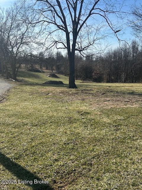 85 Lenore Road Coxs Creek, KY 40013 - Photo 18 of 18 Additional Lot .70