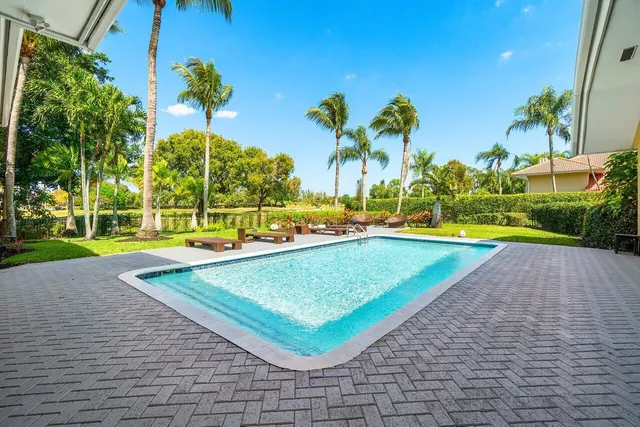 a view of a garden with potted plants and palm trees