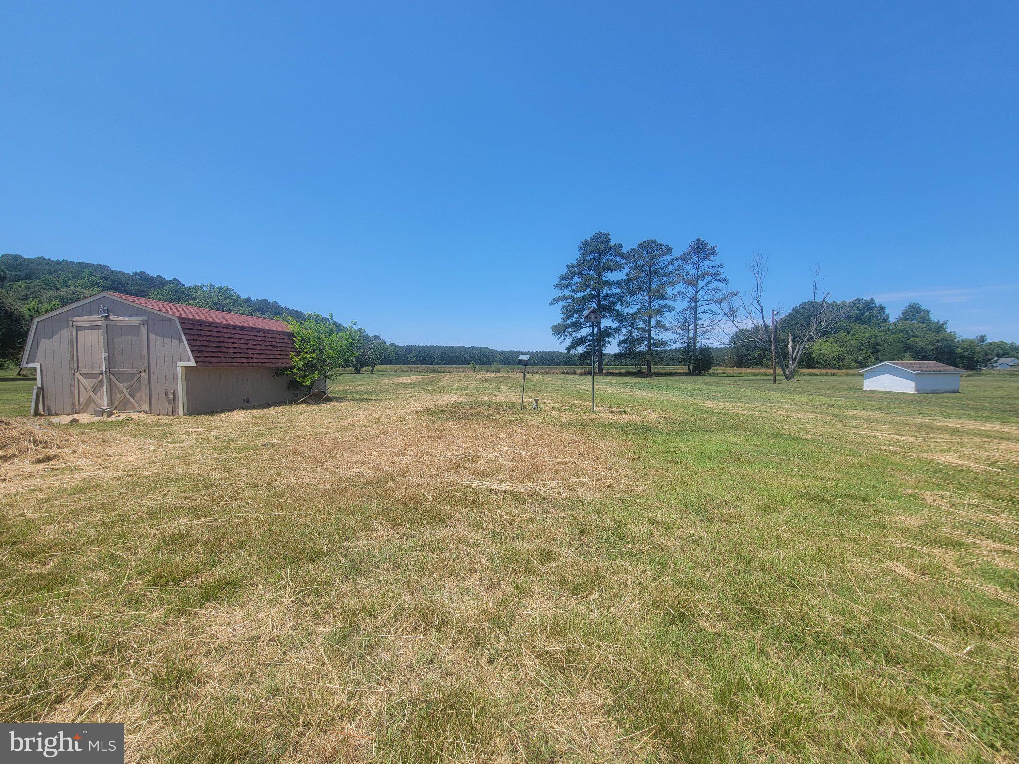 4658 White Marsh Road Madison, MD 21648 - Photo 7 of 25 Sprawling fields under a clear sky.