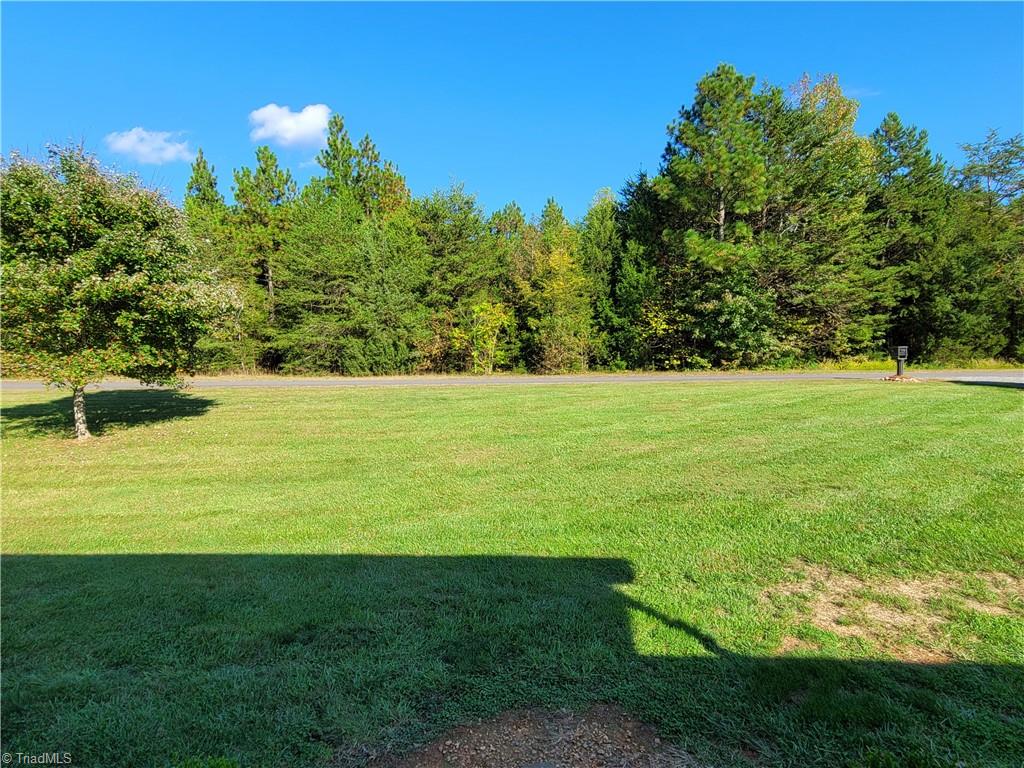 193 Arrowhead Road Mocksville, NC 27028 - Photo 15 of 40 View from front door