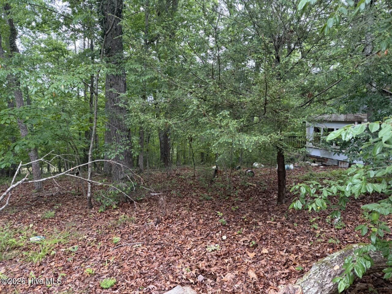 274 Snow Hill Ridge Road Murphy, NC 28906 - Photo 2 of 30