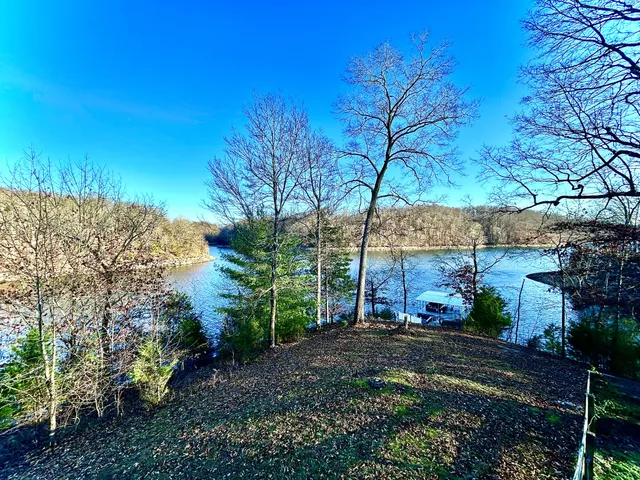 a view of a yard with an tree