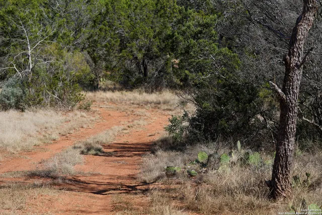 a view of a dry yard with lots of green space