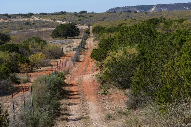 an aerial view of mountain with trees all around