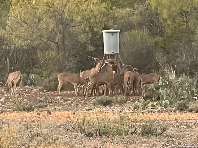 a view of a backyard of the house