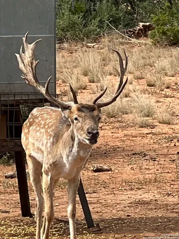 a view of a wooden floor and lake view