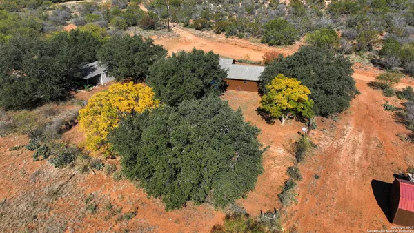 a view of a garden with plants and large trees