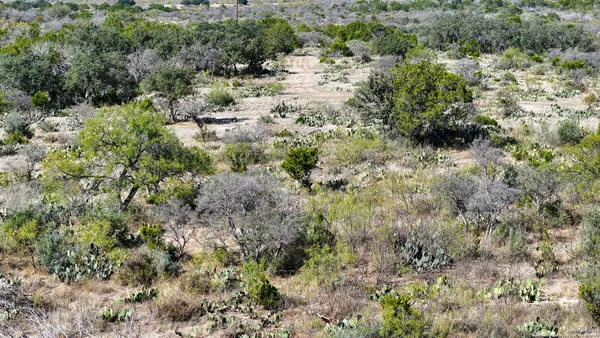a view of a dry yard with wooden fence