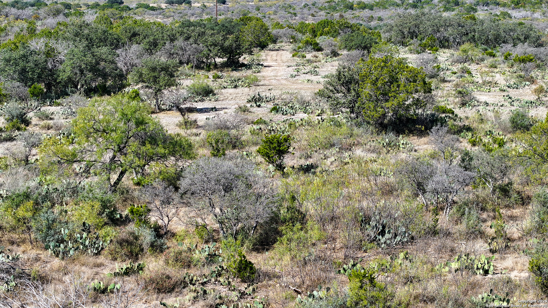 2356 Kc 314 Junction, TX 76849 - Photo 33 of 35 a view of a forest with a tree