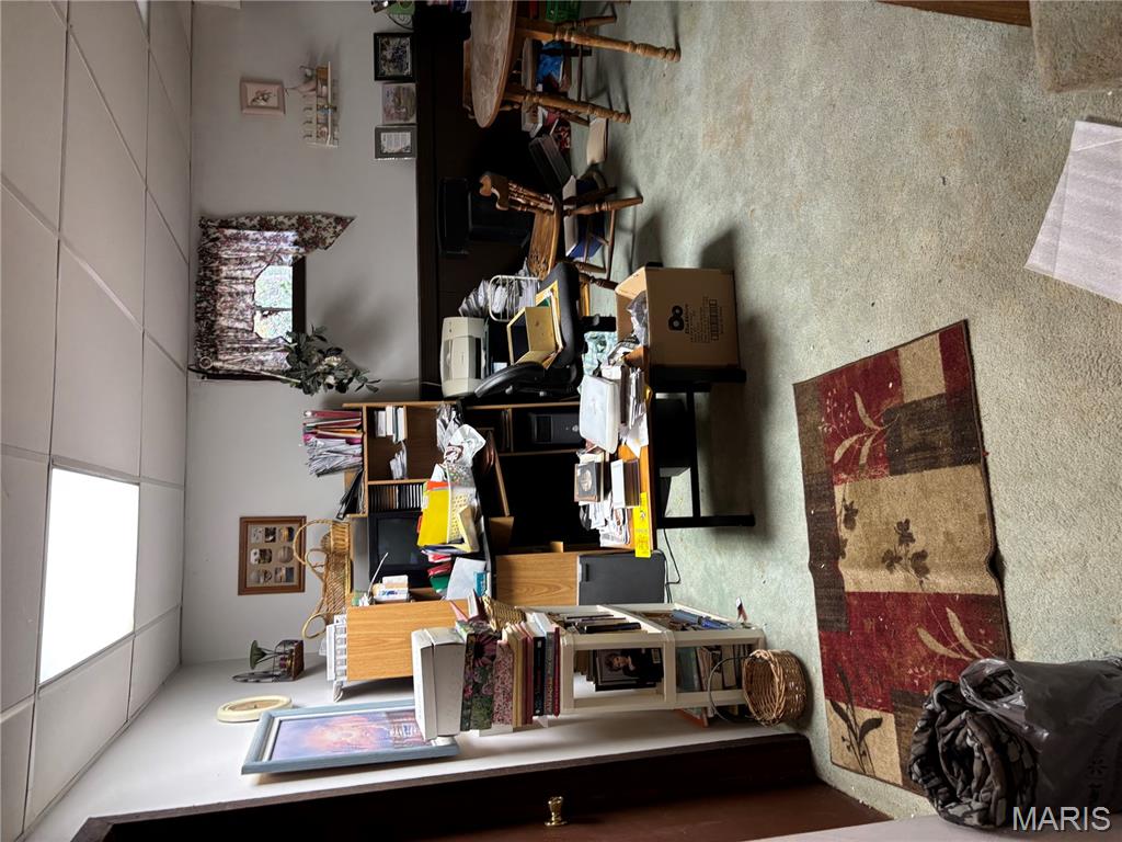 9740 Ridgecrest Drive Hillsboro, MO 63050 - Photo 27 of 51